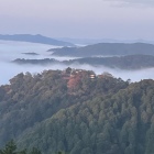 雲海に浮かぶ松山城-2