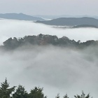 雲海に浮かぶ松山城-１