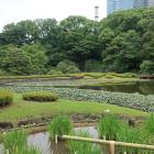二の丸庭園