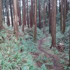 大竪堀