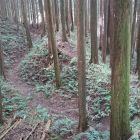 西側連続空堀1