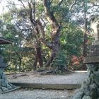 井戸曲輪