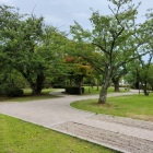 天性丸全景