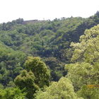 三の丸より山頂の有子山城を遠望する