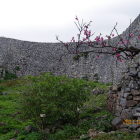 平郎門跡から東に続く大隅郭曲線城壁