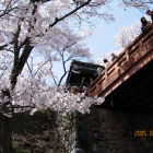 空堀から桜雲橋と問屋門