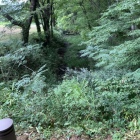 城址北側の堀（水堀）