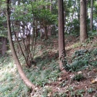 八幡神社裏手の土塁
