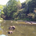 戸越公園の池