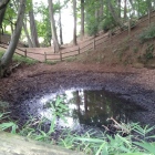 鐘掘り池