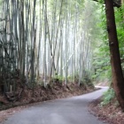 ④	一の坂と二の坂の間