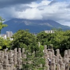 ②	南洲公園から見た桜島