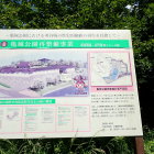 亀城公園再整備事業