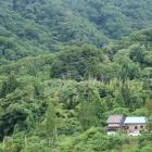 男城から女城を望む。中央が女城、右下はガラシャ荘