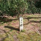 本丸井戸跡