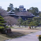 三の丸庭園から南櫓、天守閣の眺め美しい