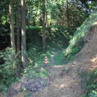 本曲輪南側切岸土砂崩れ現場