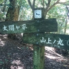 5km〜(;_;)