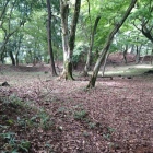 太閤ヶ平陣