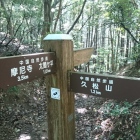 あと1km