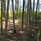 北側の土塁