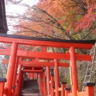 ②	太鼓谷稲荷神社へ続く参道の鳥居