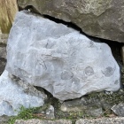 化石を含んだ石垣