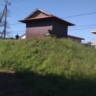 土塁上の三ツ木神社