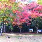上段　主屋跡