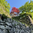 松の丸隅櫓と石垣