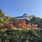 姫路城西側からの眺め