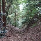 搦手道の堀切