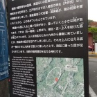 鶯の声、平和です。