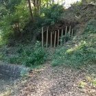 この前は気がつかなかったけど、何でしょうね？