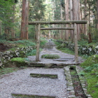 奥の三の宮への参道と鳥居