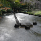 水が抜かれた日本庭園池底はコンクリート