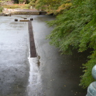 水が抜かれた日本庭園池を木橋より