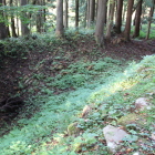 中世の石畳西側の横堀