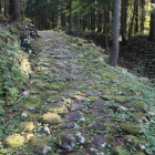 中世の石畳南側の石畳道と横堀Ⅱ