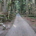 中世の石畳道若宮神社り奥東側坊院跡石垣連