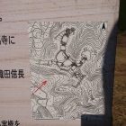縄張り