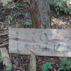 おもてなしの心