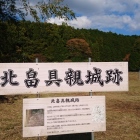 うしろの山が城跡