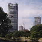 東京タワーも見える