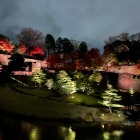 玉泉院丸庭園