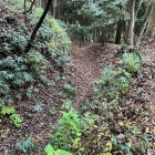 北東端の小原道の切通し（横堀？）