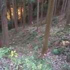 畝状竪堀