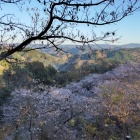 本丸から東側眺望
