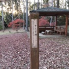 さんざ畑