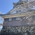 天守と桜-2
